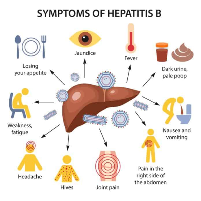 hepatita b